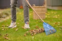 Garden Cleanup