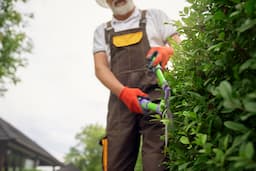 Tree & Shrub Care