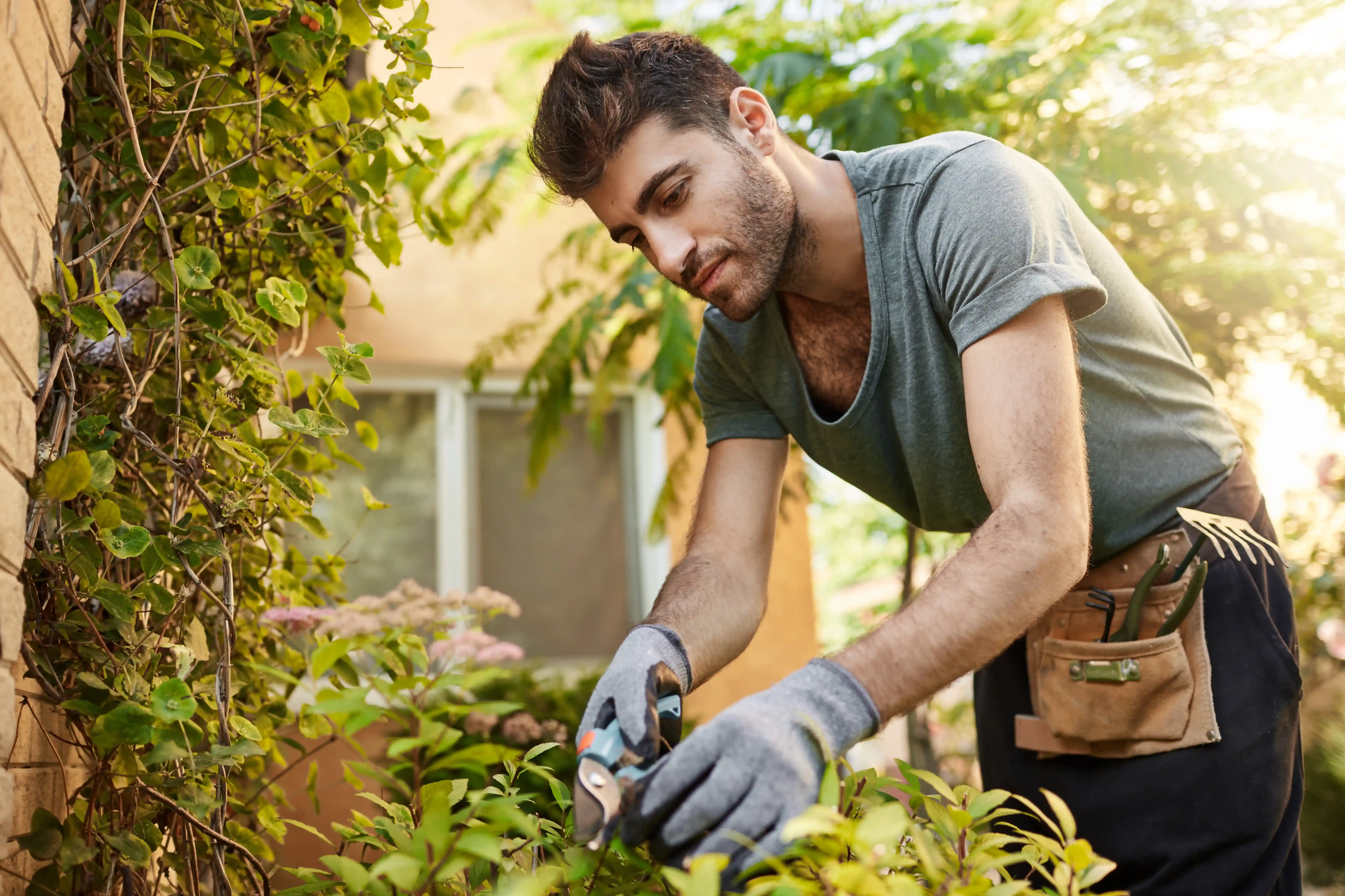 Mian Aftab offering Gardening & Landscaping Services